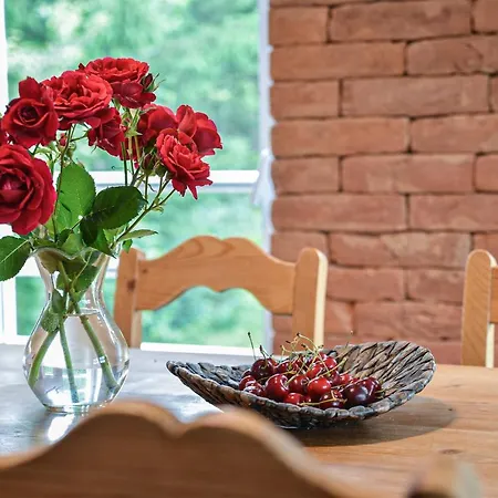 Terrace Apartment