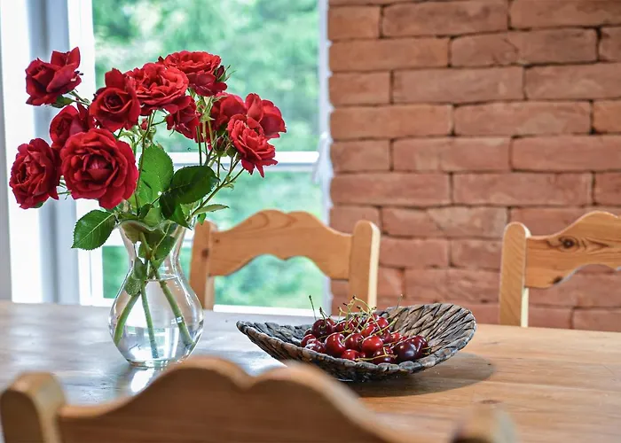 Terrace Apartament